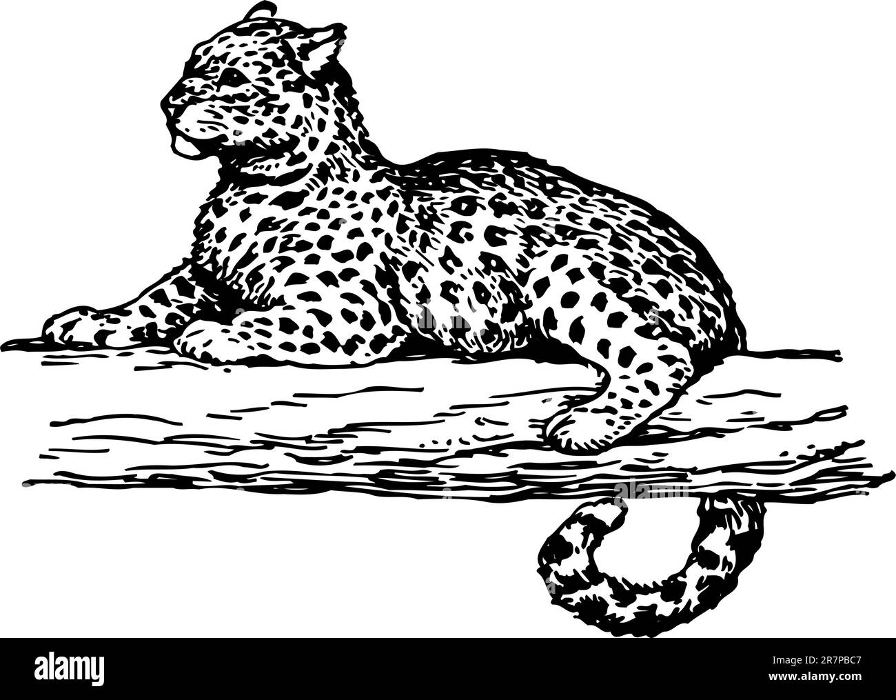 Leopard on the branch on white Stock Vector