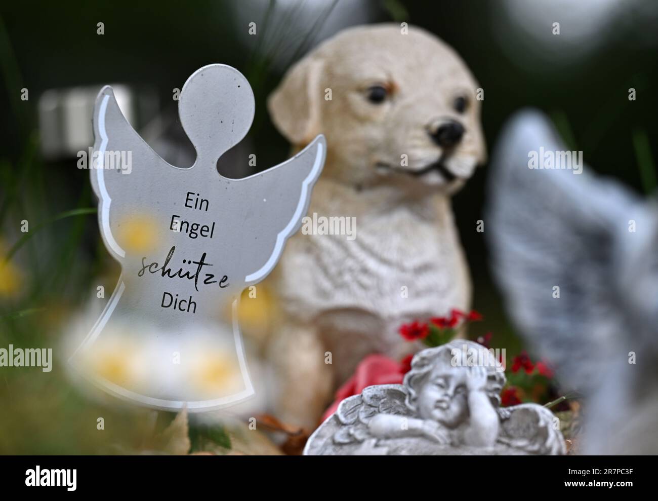 Hainichen, Germany. 16th June, 2023. 