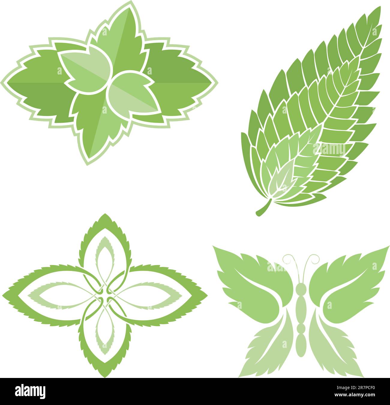 Four green mint leaves icons isolated on white background Stock Vector