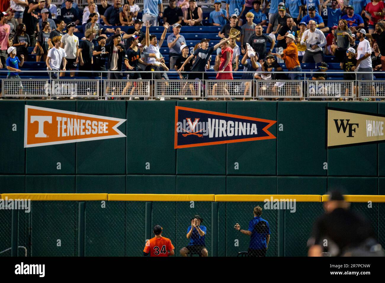 Virginia outfielder Harrison Didawick (34) watches a fan catch a home