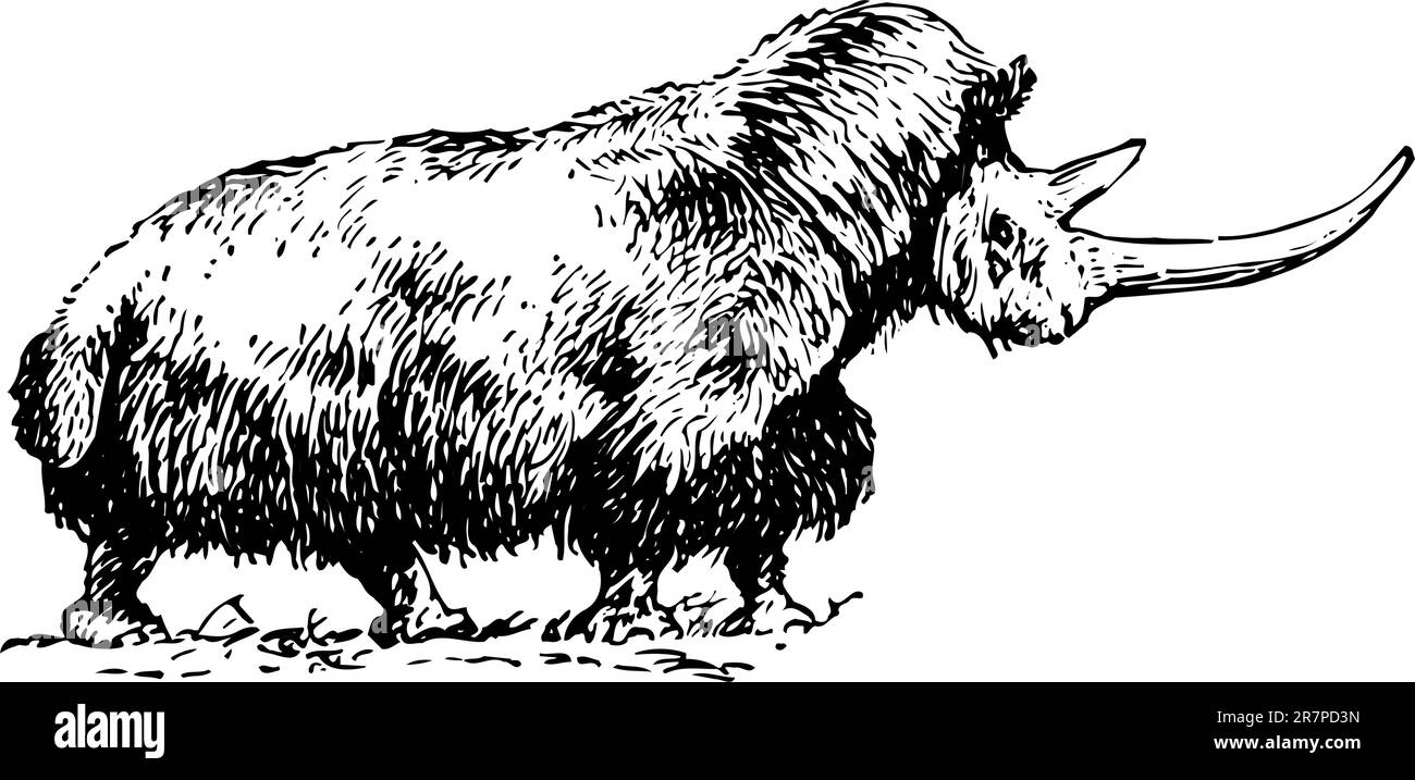 Old rhinoceros isolated on white Stock Vector Image & Art - Alamy
