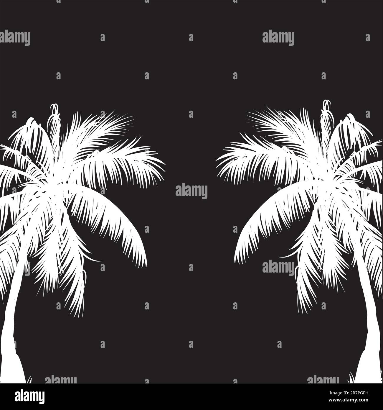 Two white palm trees on a black background.Vector Stock Vector Image