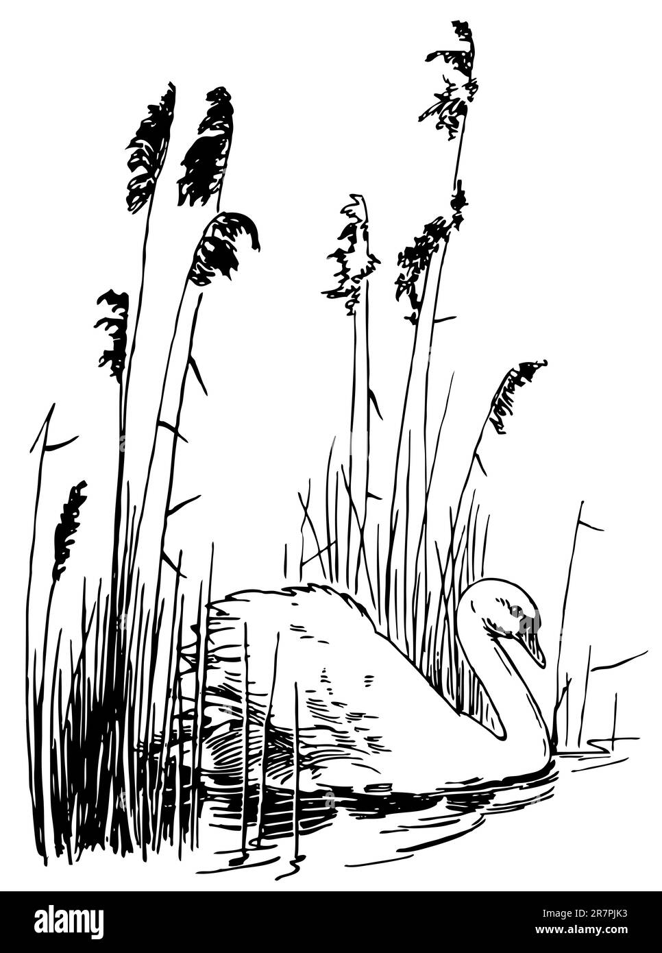 Lake image Stock Vector Images Alamy