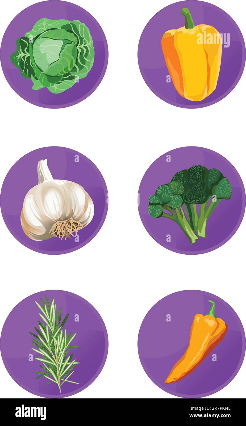 Rosemary vegetable Stock Vector Images - Alamy