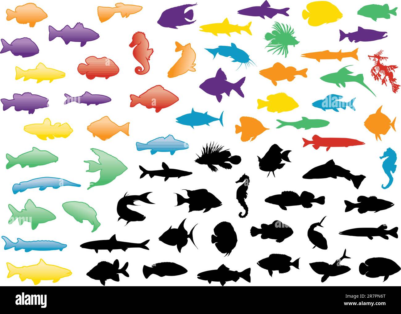 Illustration set of fish silhouettes. All objects are isolated and grouped. Colors and transparent background color are easy to adjust. Stock Vector