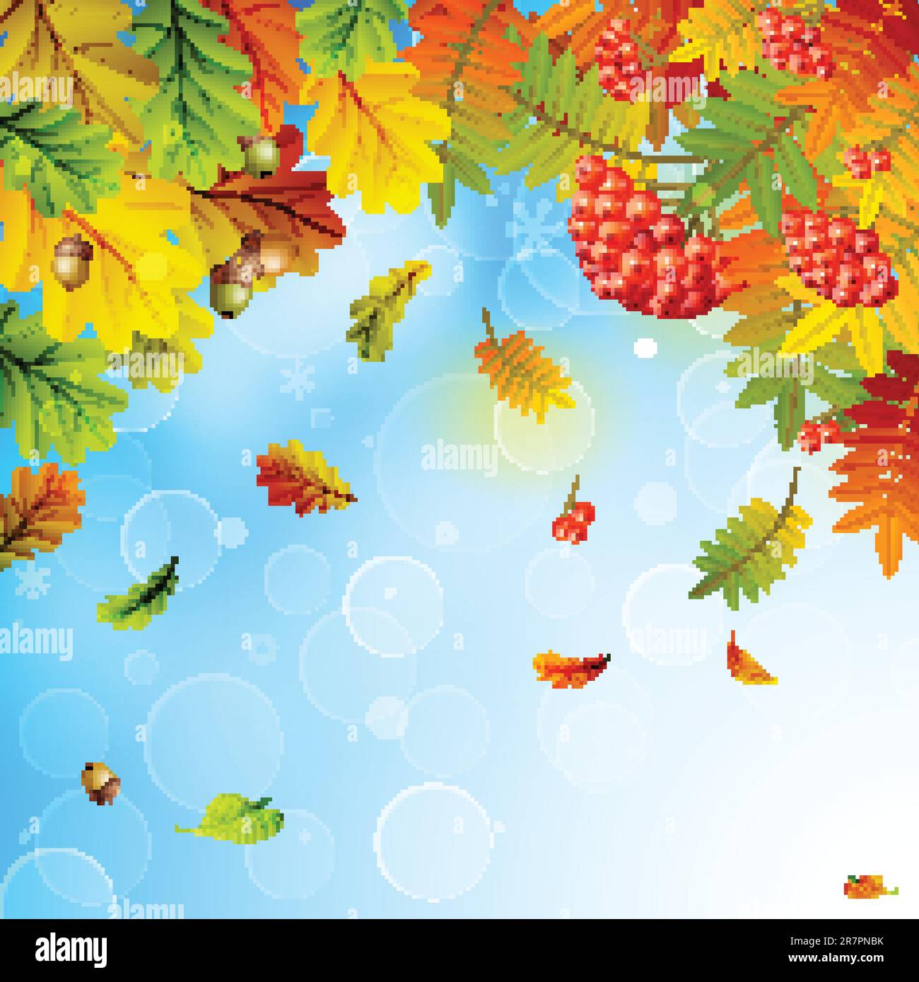 Autumn background with colorful leaves on sky and place for text ...