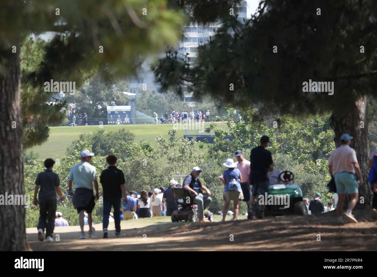 Pebble Beach, USA. 03rd Feb, 2022. Mookie Betts putts onto the 6th green at  Monterey Peninsula Club during the first round of the AT&T Pro-Am PGA Tour  golf event Monterey Peninsula, California