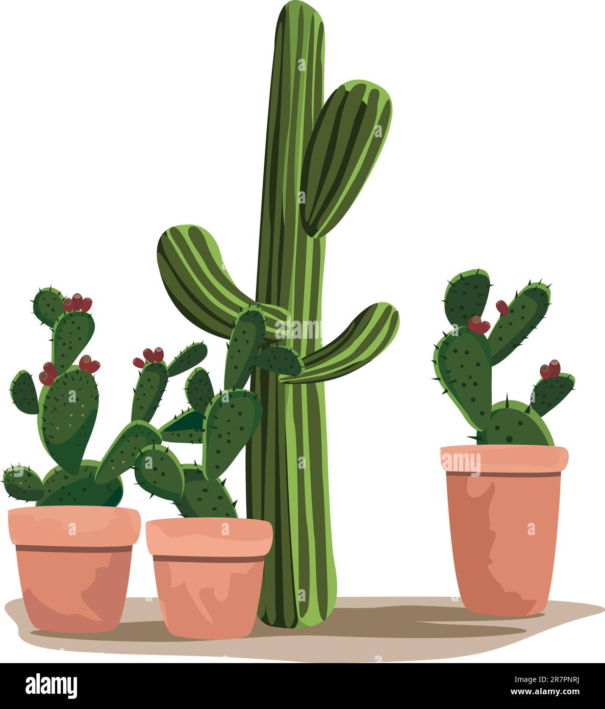 Illustration of cactus plants in the pots Stock Vector