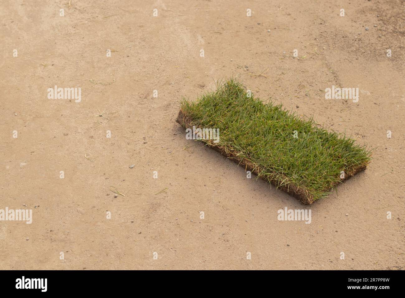 Green grass at the park hi-res stock photography and images - Alamy