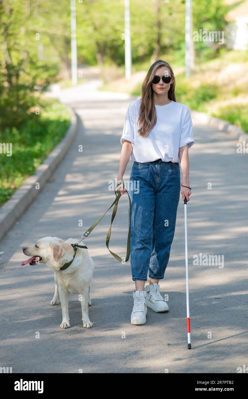 Blind woman walking with guide dog in the park Stock Photo - Alamy