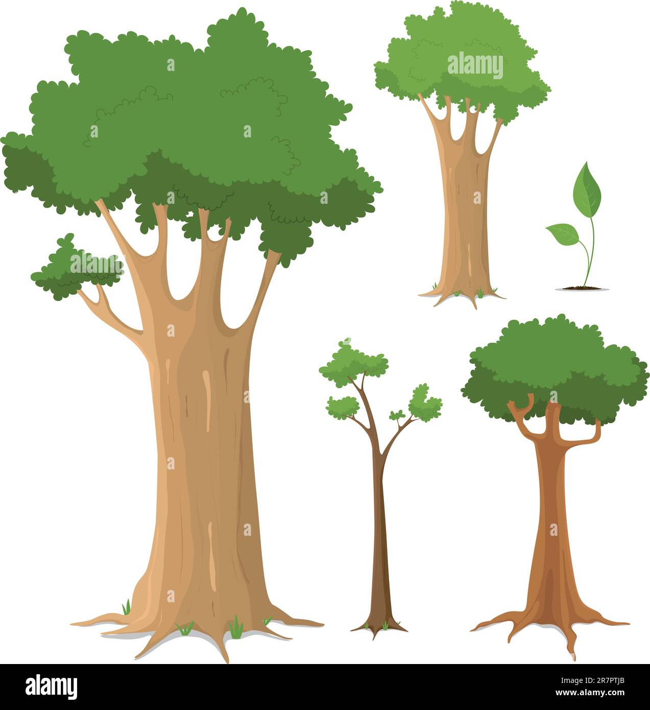 Illustration of a set of variety of trees, young and old Stock Vector