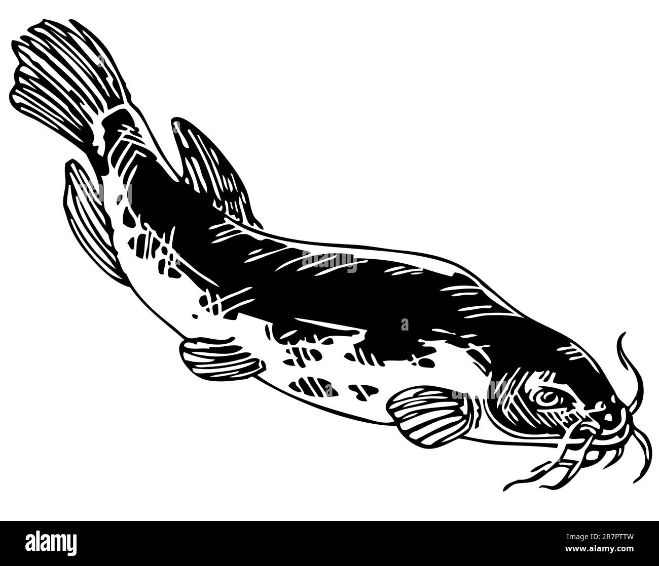 Electric catfish in the water Stock Vector