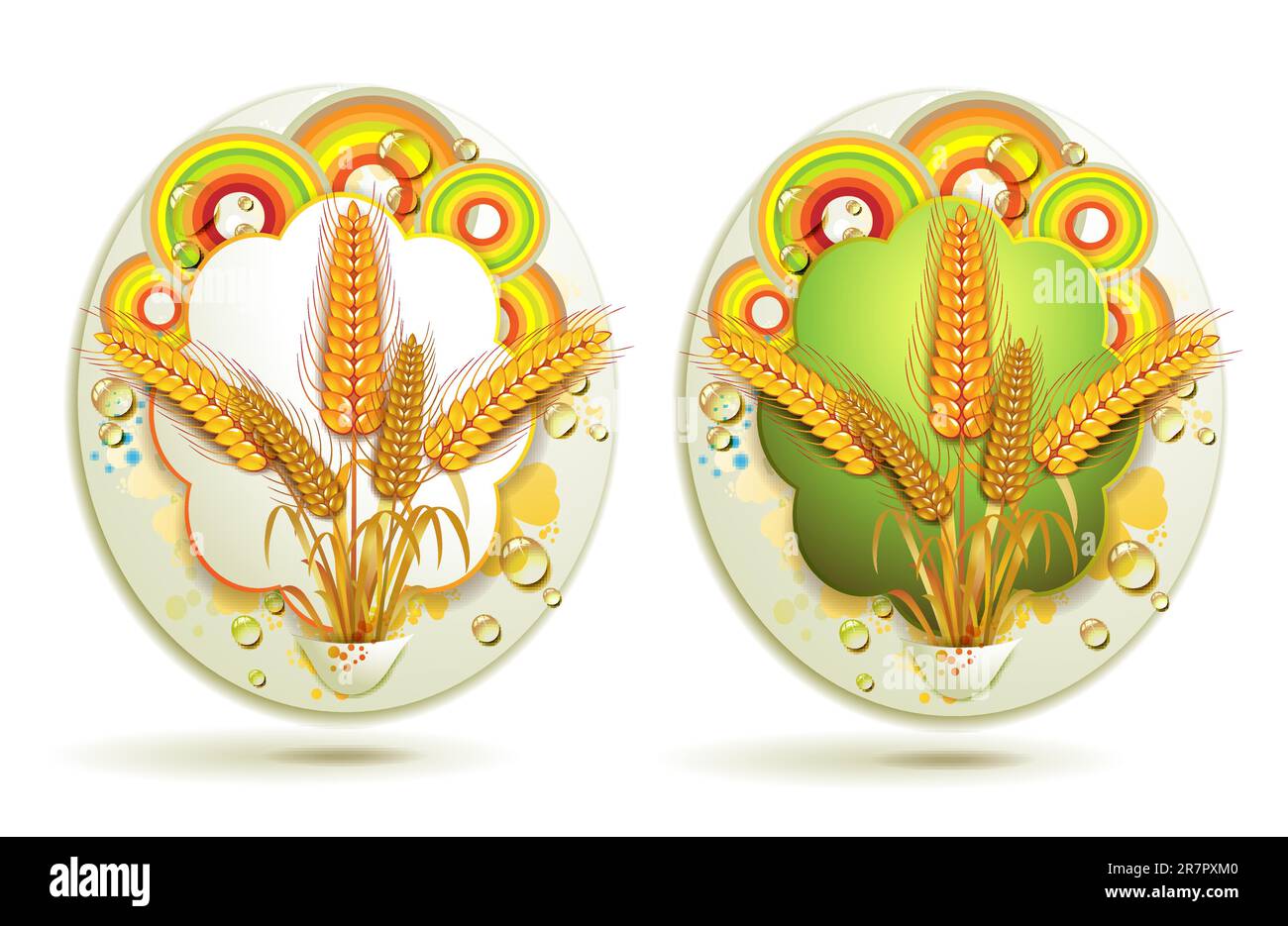 Wheat ears with colored circles Stock Vector