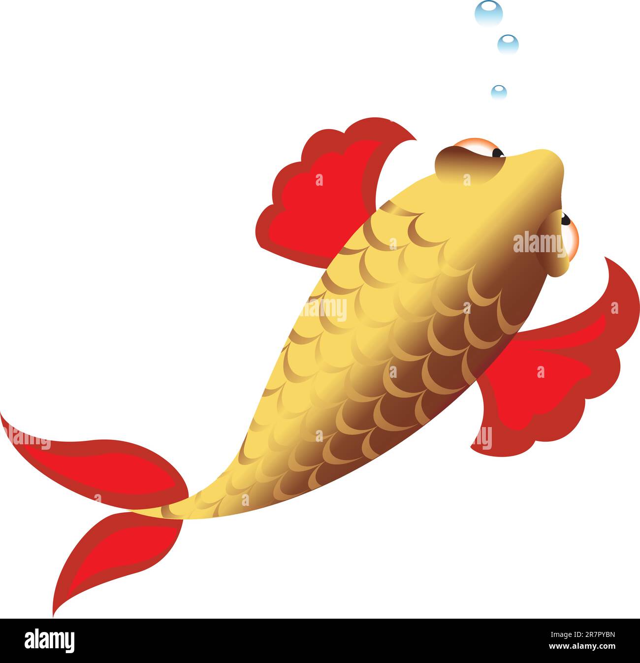 Vector illustration of fish. View from the top. Stock Vector