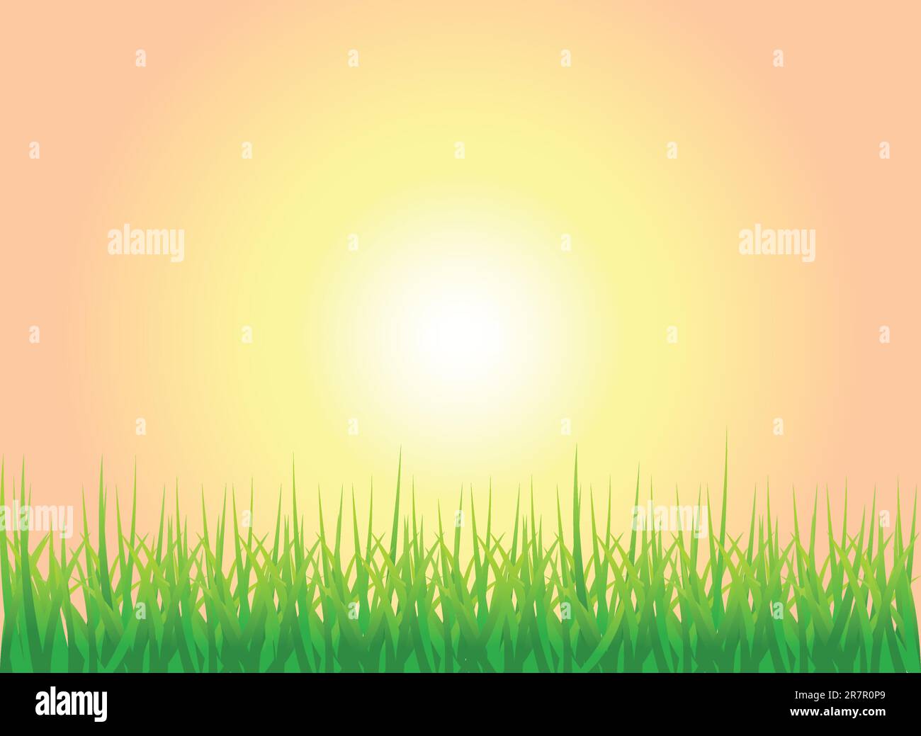 A Colourful Vector Illustration of A Sunset Grass Background Stock ...