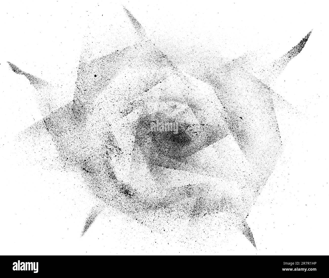 Rose painted with sprayed ink technique in black and white Stock Photo