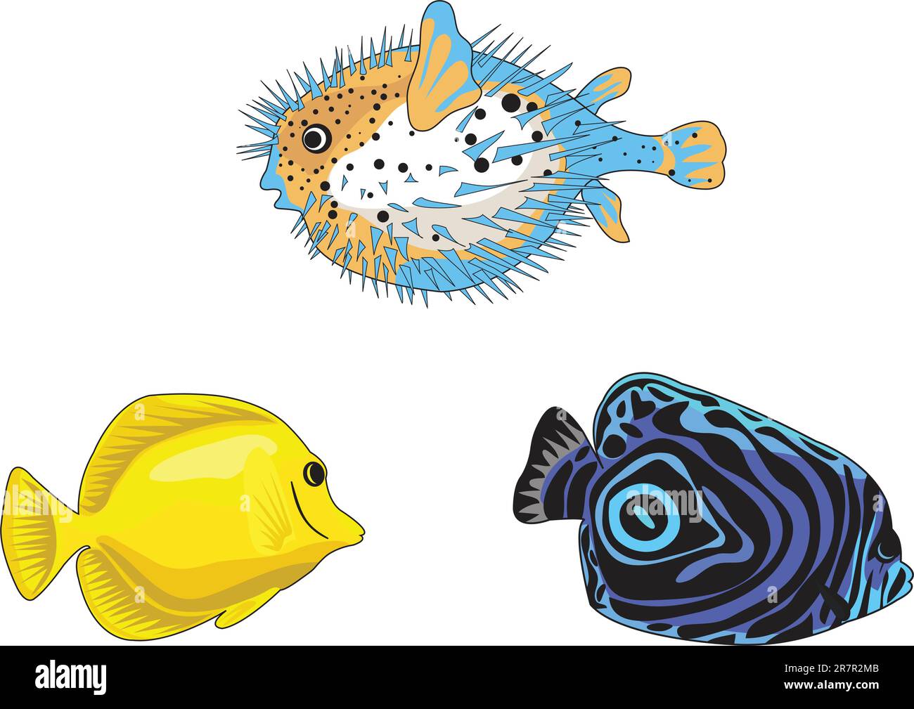 Premium Vector  Exotic fishes realistic underwater life aquarium drawing  colored fishes decent vector illustration collection isolated