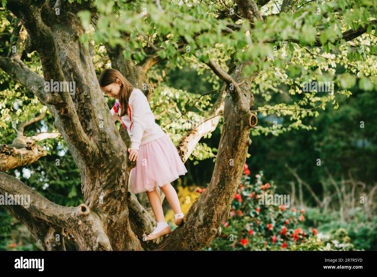 Cute little girl playing in the park, climbing on the tree Stock Photo ...