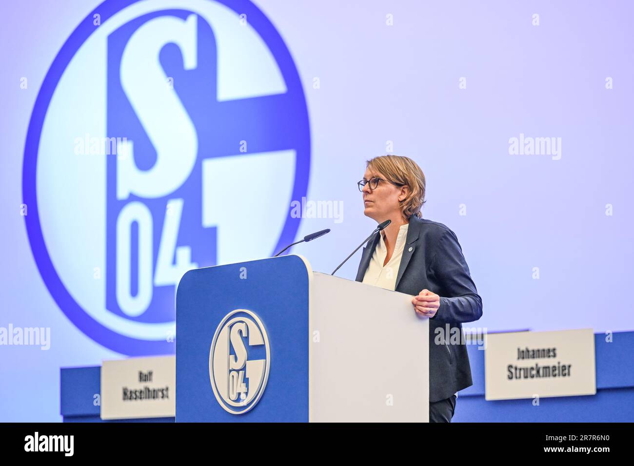 Schalke, Deutschland. 27th Oct, 2022. firo : 27.10.2022, football, soccer,  1.Bundesliga, first league season 2022/2023, FC Schalke 04 1st training  Thomas Reis Credit: dpa/Alamy Live News Stock Photo - Alamy