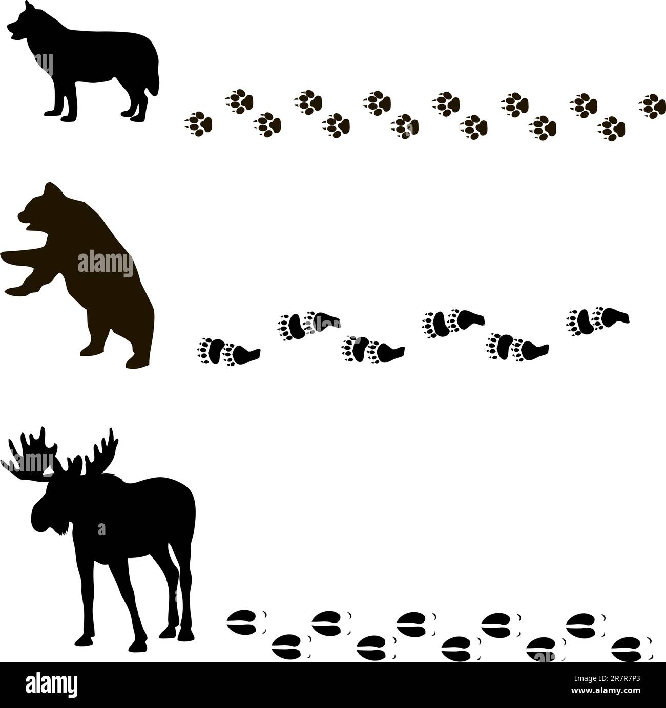 vector painting of animals and their tracks Stock Vector