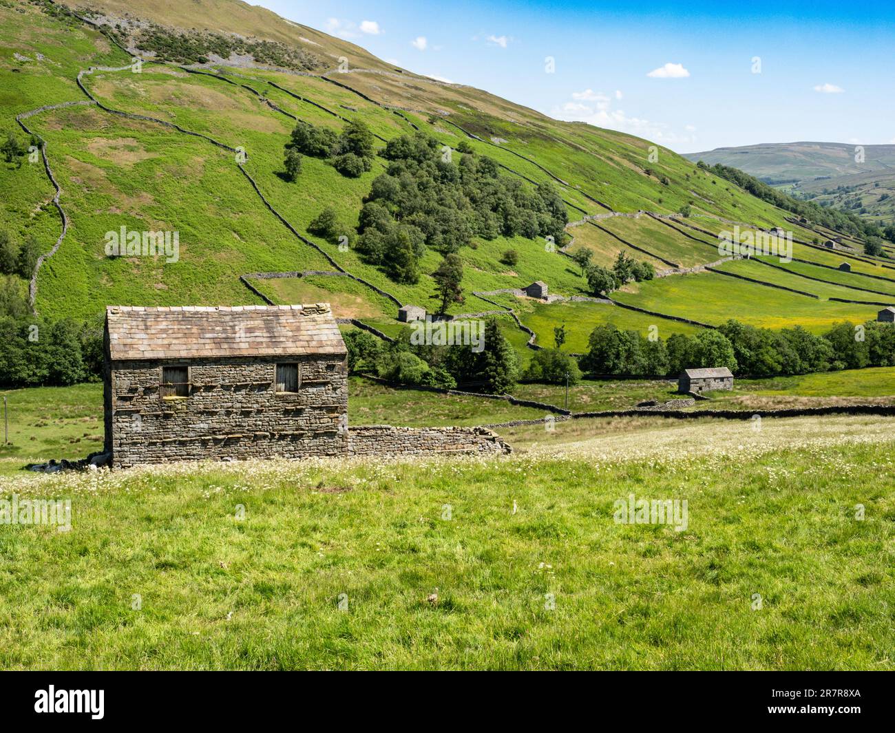 A classic view of Swaledale Stock Photo - Alamy