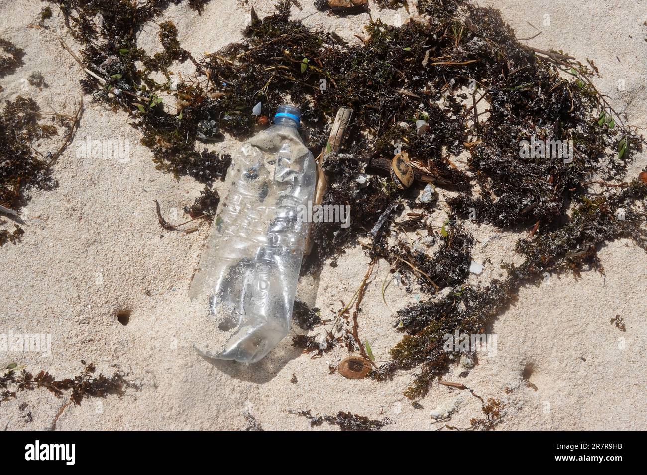 Plastic waste, plastic bottle, beach of Mauritius Stock Photo Alamy