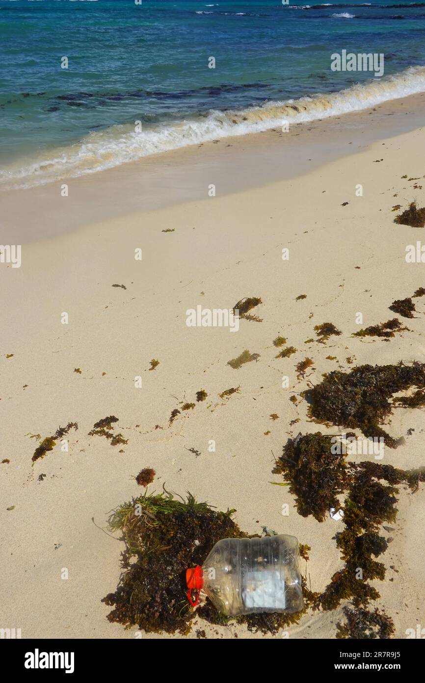 Plastic waste, plastic bottle, beach of Mauritius Stock Photo Alamy