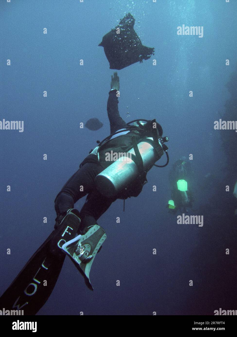 A Diver Picks A Plastic Bag While Diving In Bunaken National Park Northern Sulawesi Indonesia