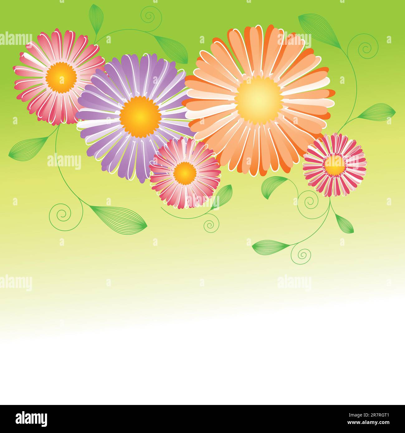 Abstract springtime colorful daisy flower on green white background ...