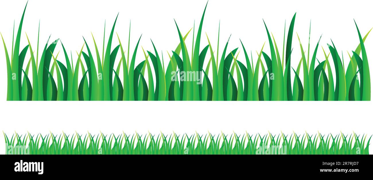 vector set illustration of green grass isolated over white background Stock Vector