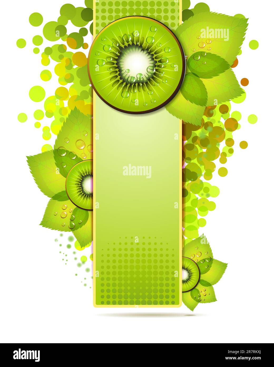 Green banner with kiwi slices over white background Stock Vector