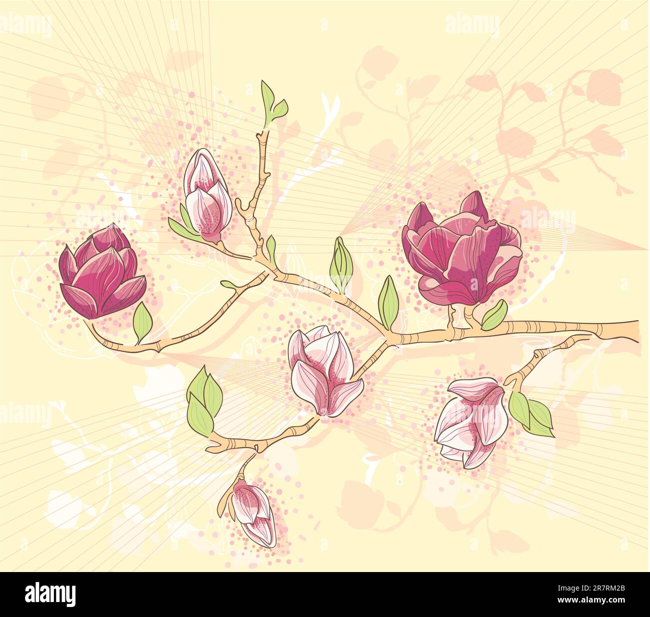 Abstract romantic flower vector background with magnolia branch Stock ...