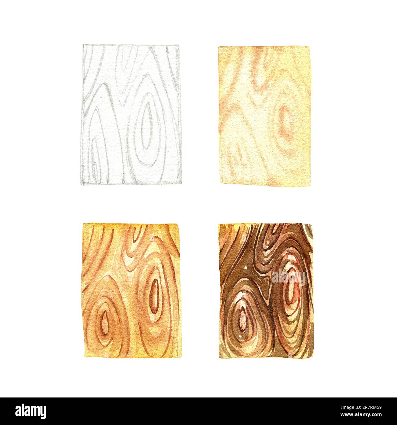 Wood texture drawing tutorial isolated on white background. Watercolor