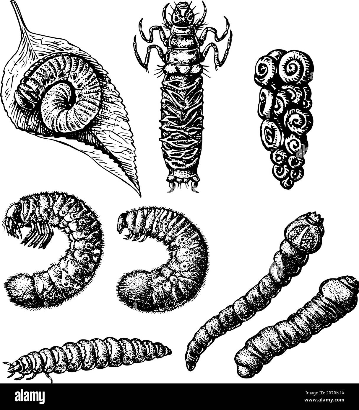 My Image 29
