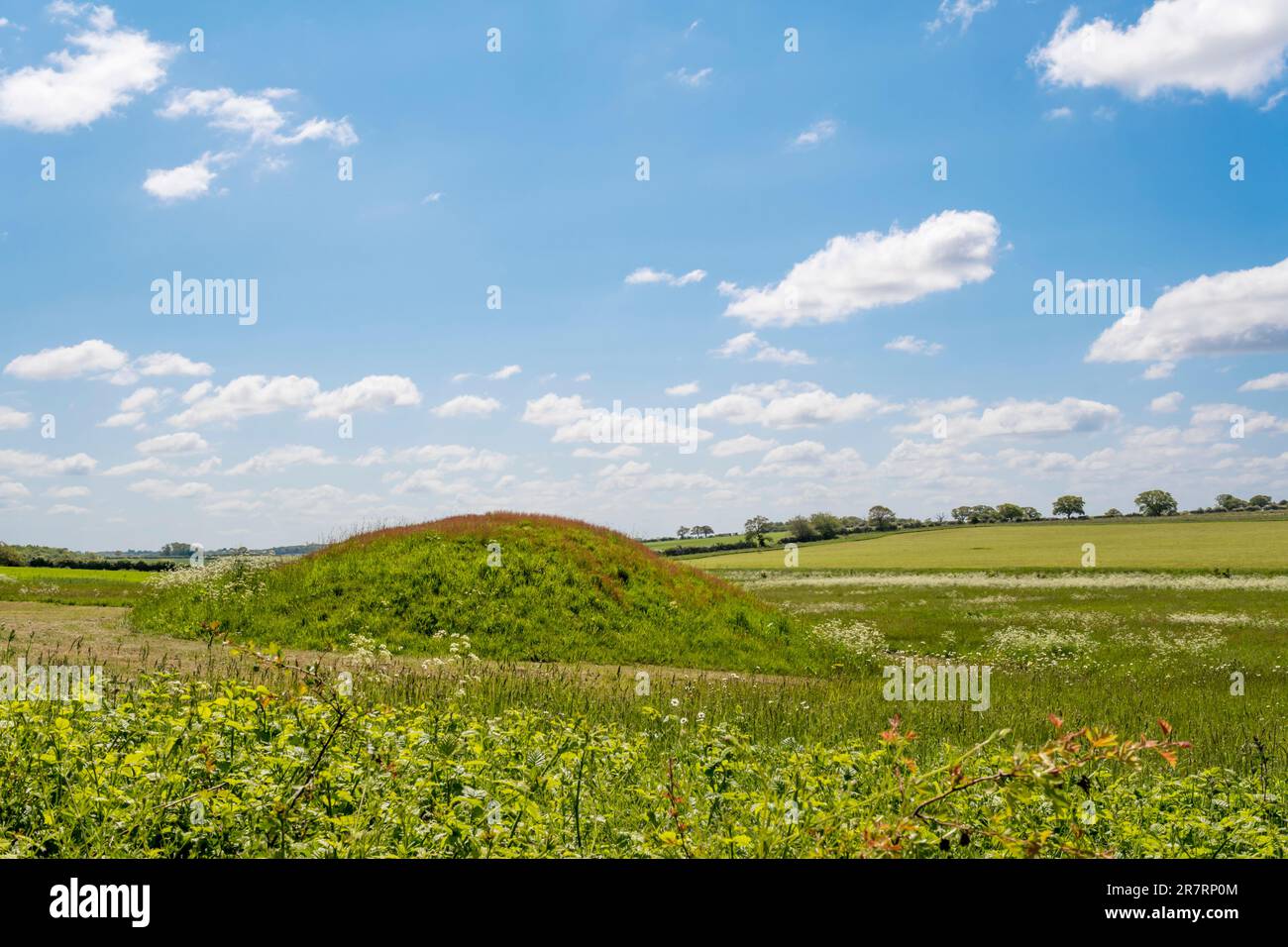 A bowl barrow in a Norfolk field at Harpley, believed to date from 2400-1500 BC. Stock Photo