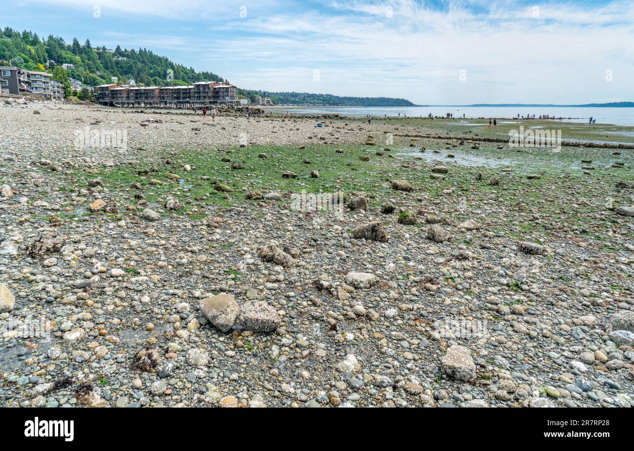 A view of the West Seattle shoreline with an extream low tide. Stock Photo
