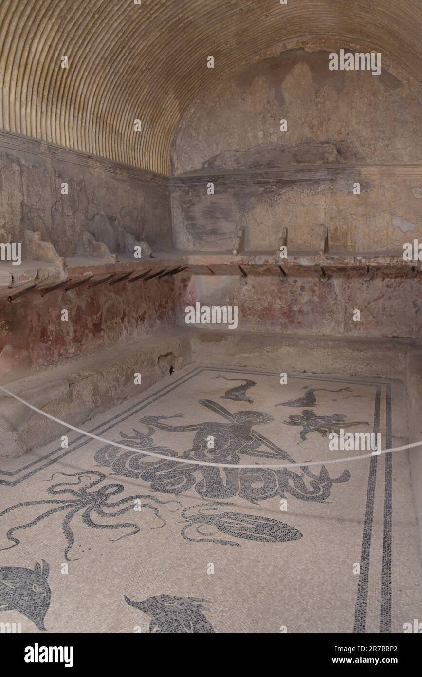 Bathhouse mosaic floor the Roman town of Herculaneum, buried in the Vesuvius eruption of AD79, Ercolano, Naples, Italy Stock Photo