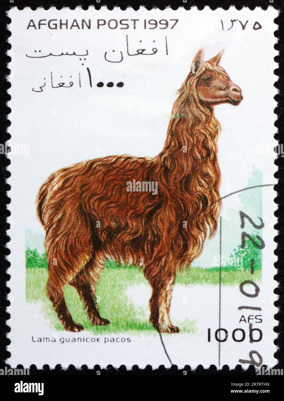 Animal stamps hi-res stock photography and images - Alamy