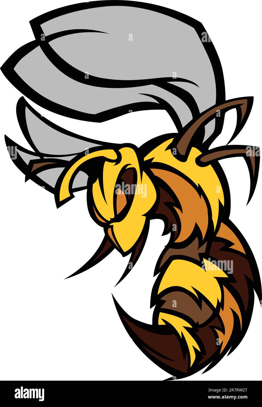 Yellow Jacket Wasp Graphic Vector Image Stock Vector Image & Art Alamy