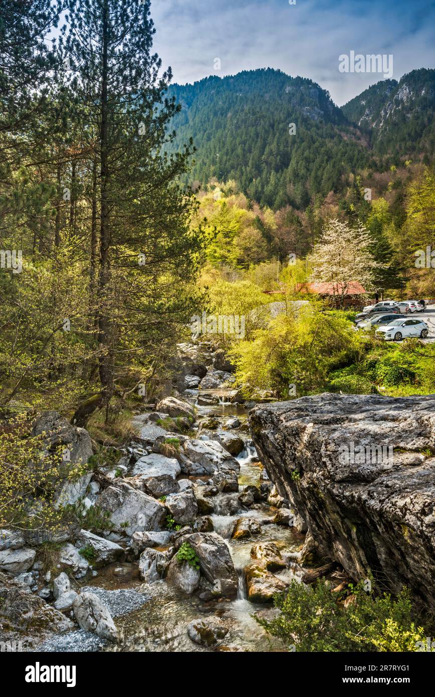 Karagiani stream, Prionia area, Mount Olympus National Park, Central Macedonia region, Greece Stock Photo