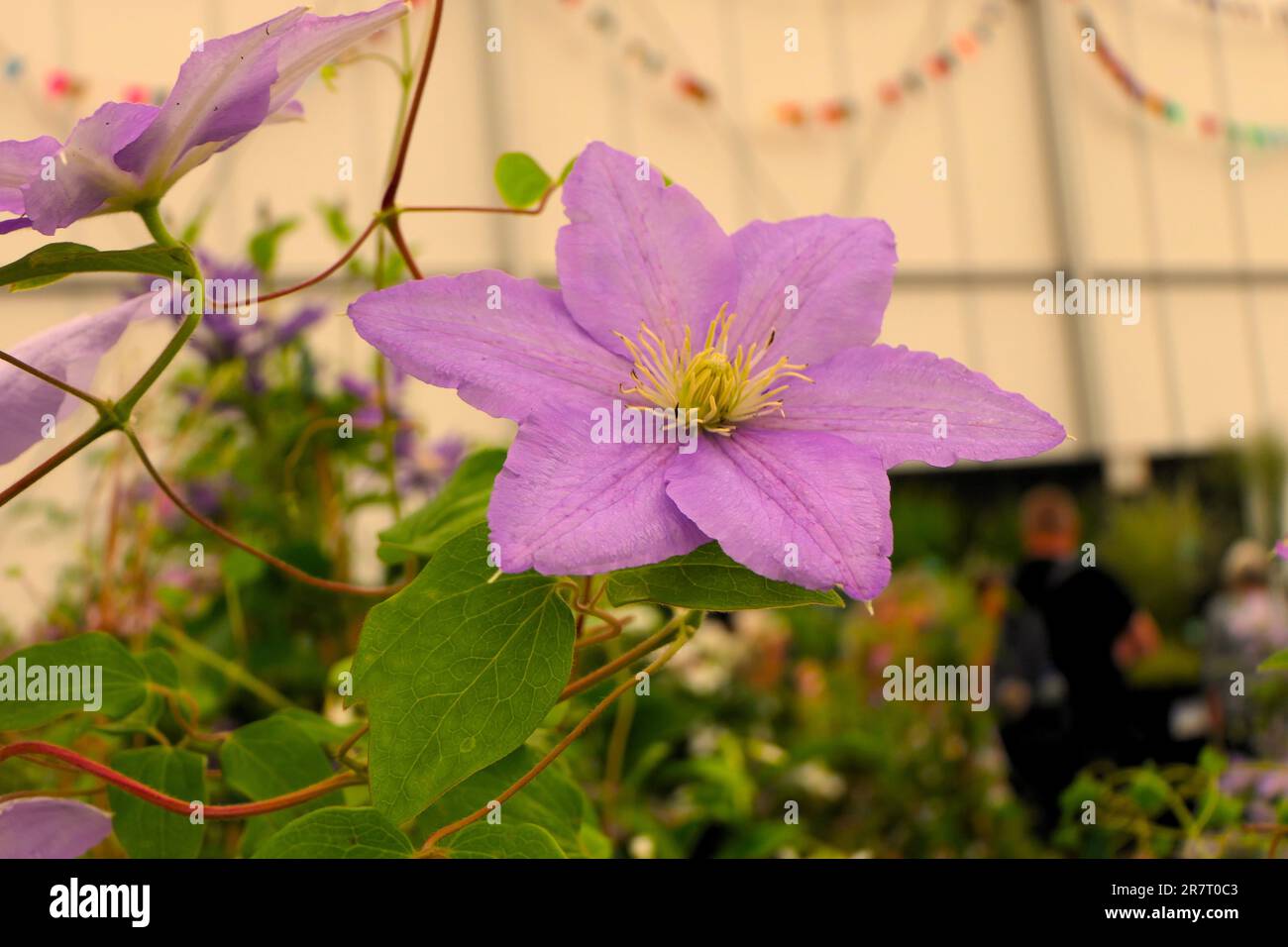 BBC gardens, Birmingham, UK 2023 Stock Photo