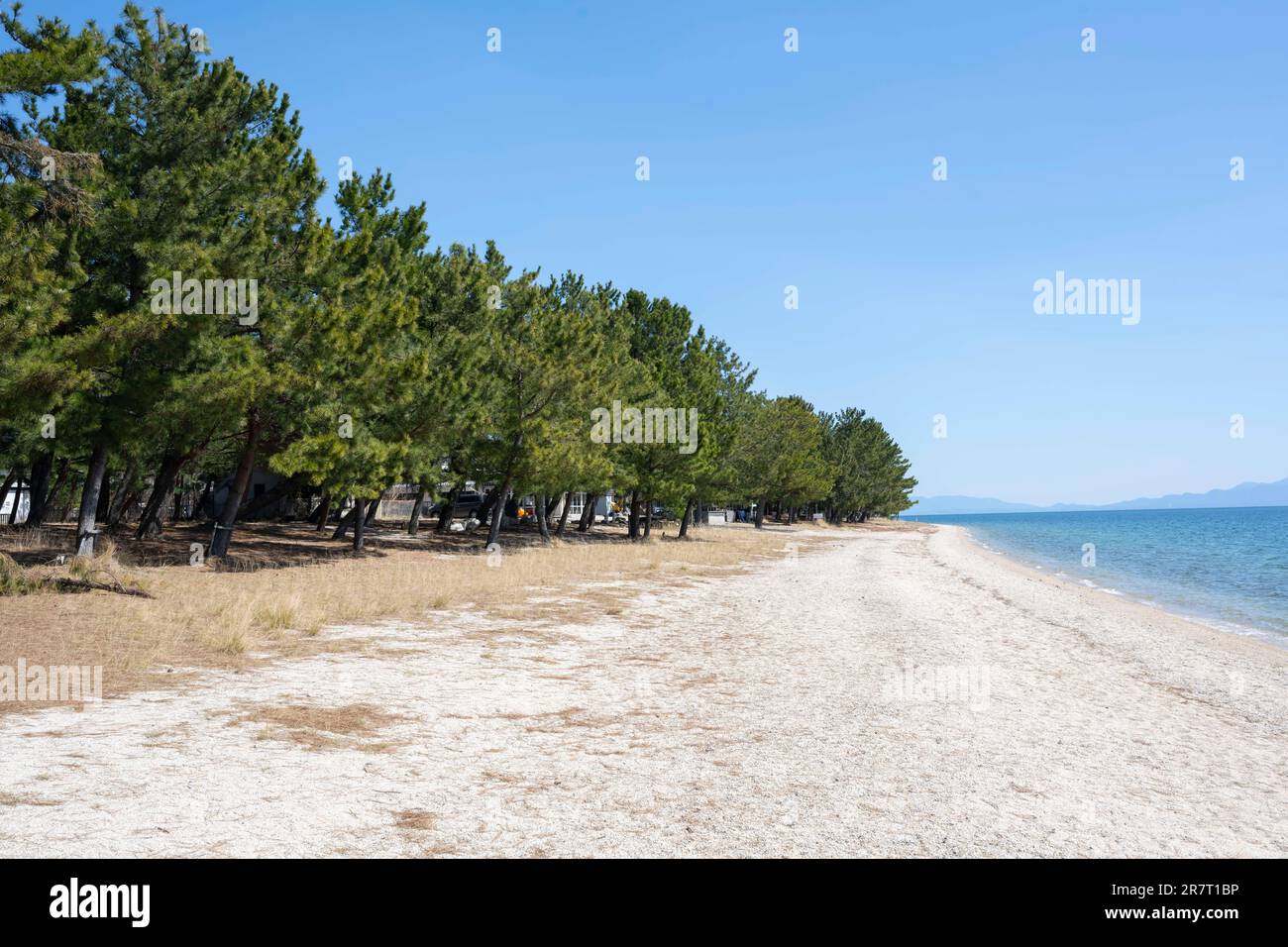 Otsu, Shiga Prefecture, Japan. 19th Mar, 2023. Omatsu-zaki (é›„æ ¾å´Ž ...