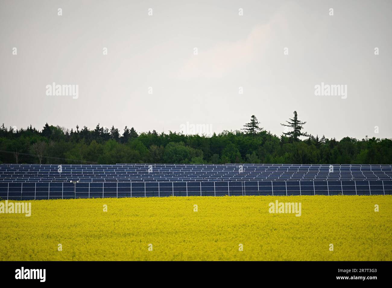 Solar power plant - concept for electricity and ecological industry. High energy prices. Beautiful landscape and sunny day with blue sky. Photovoltaic Stock Photo
