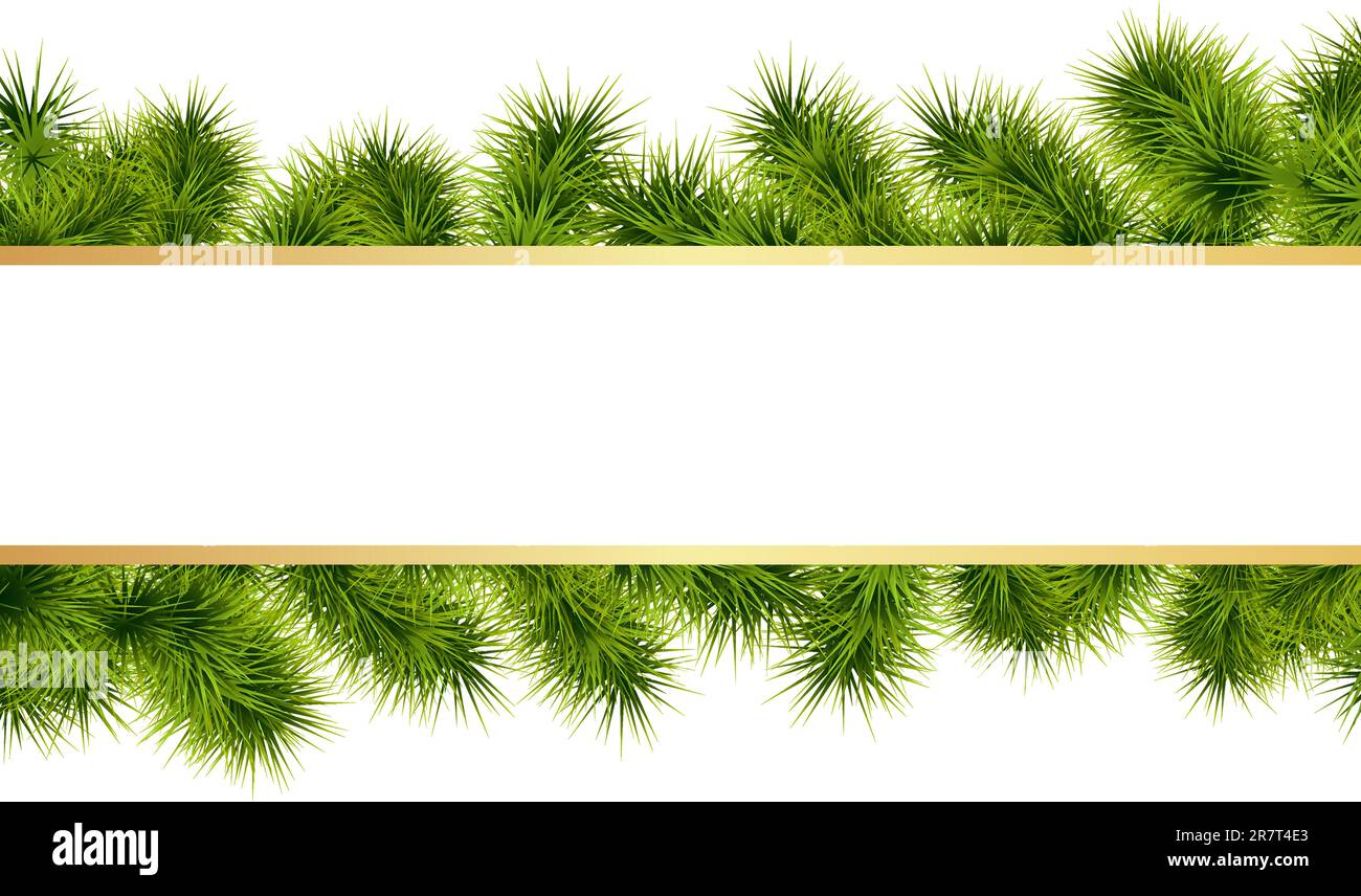 Christmas white background with fir branches. Vector illustration Stock ...