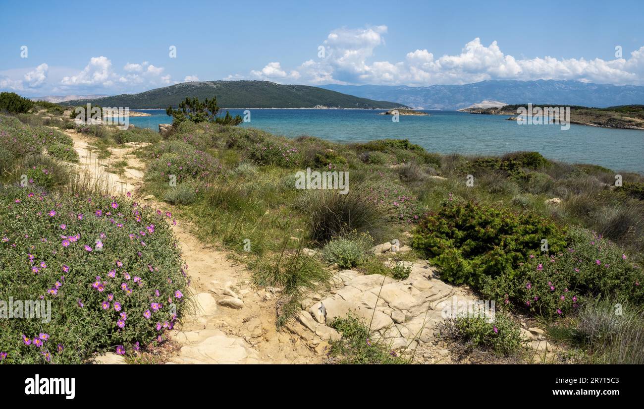 Lagoon, Ciganka beach, near Lopar, Island Rab, Kvarner Gulf Bay, Croatia Stock Photo