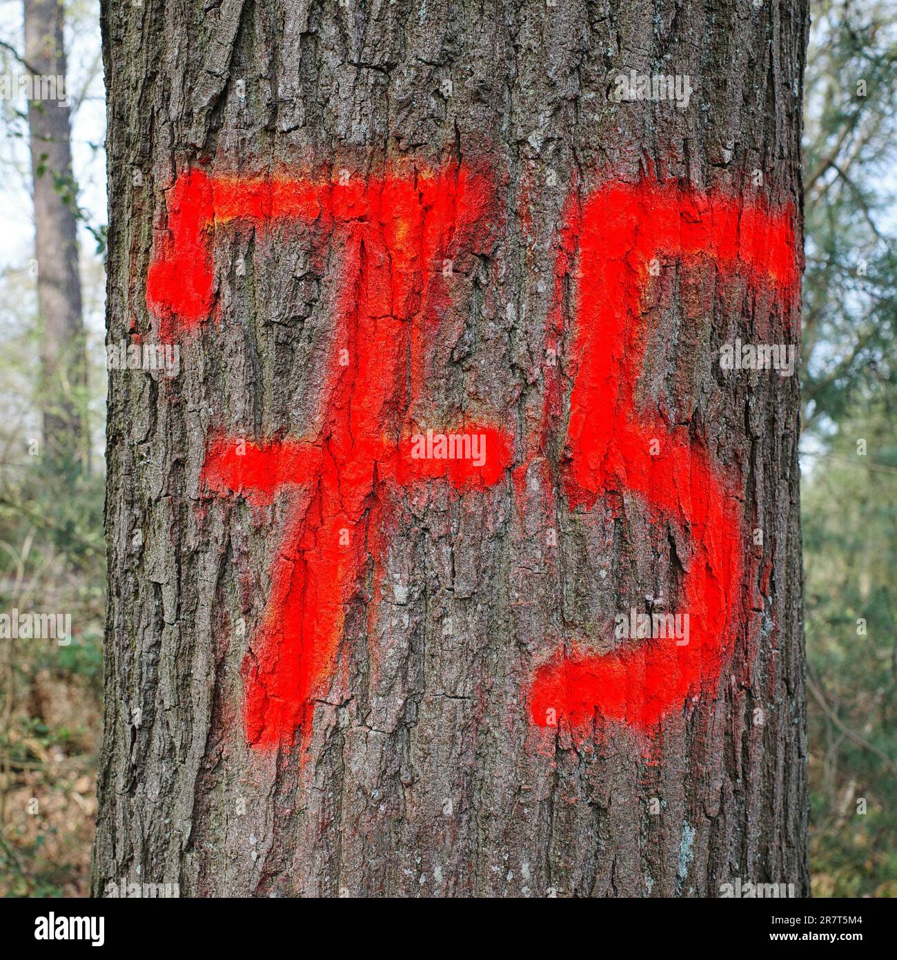 Vintage number 75 Ziffer North Rhine Westphalia Germany Stock Photo