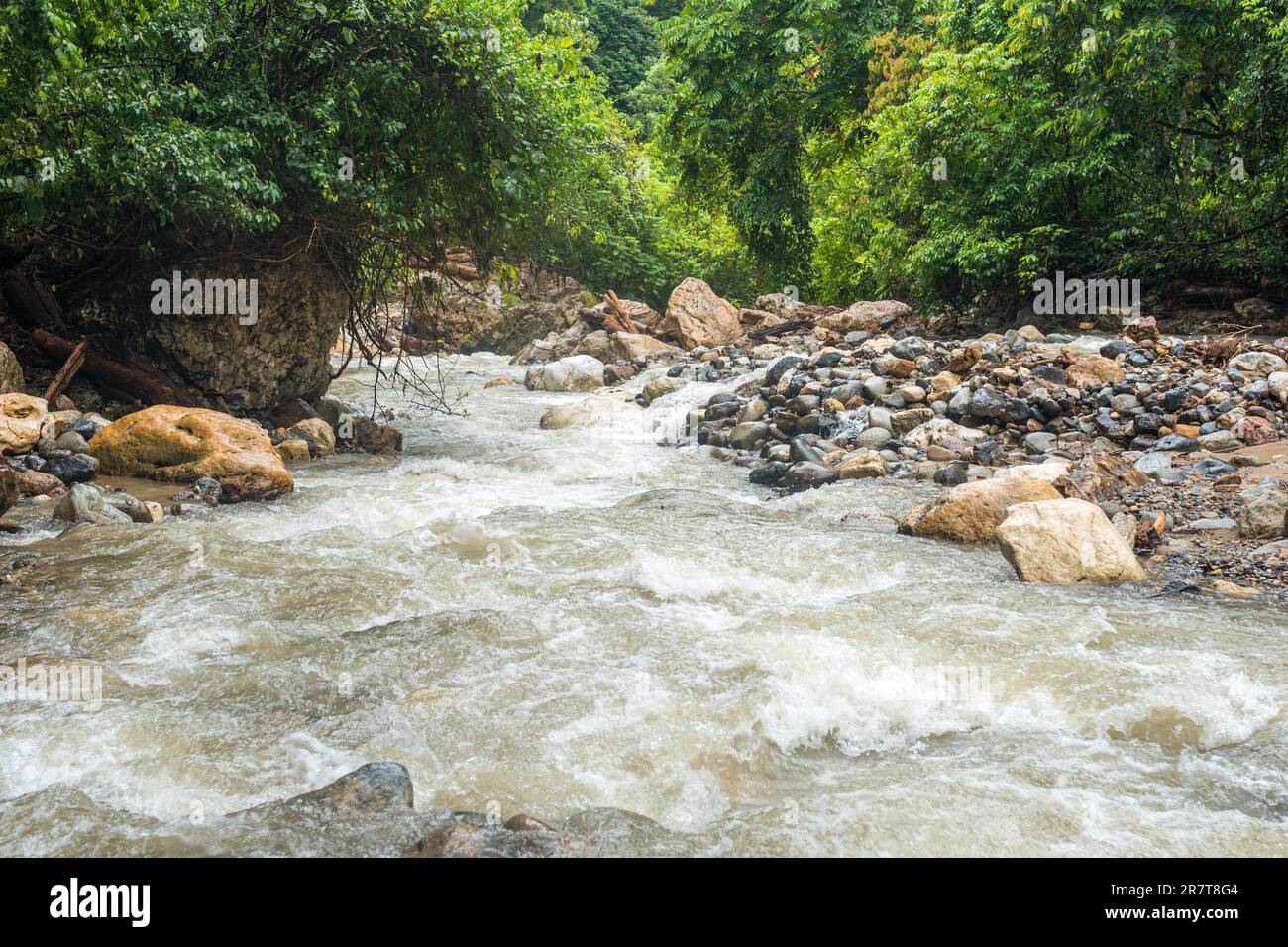 The mountain stream Gurah in the Gunung Leuser National Park in the jungle of Ketambe. The fresh water is boiled and serves as drinking water on the Stock Photo