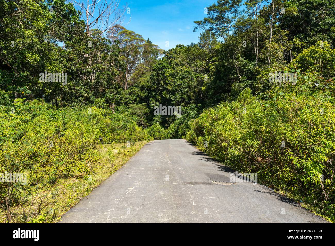 Sumatran roads hi-res stock photography and images - Alamy