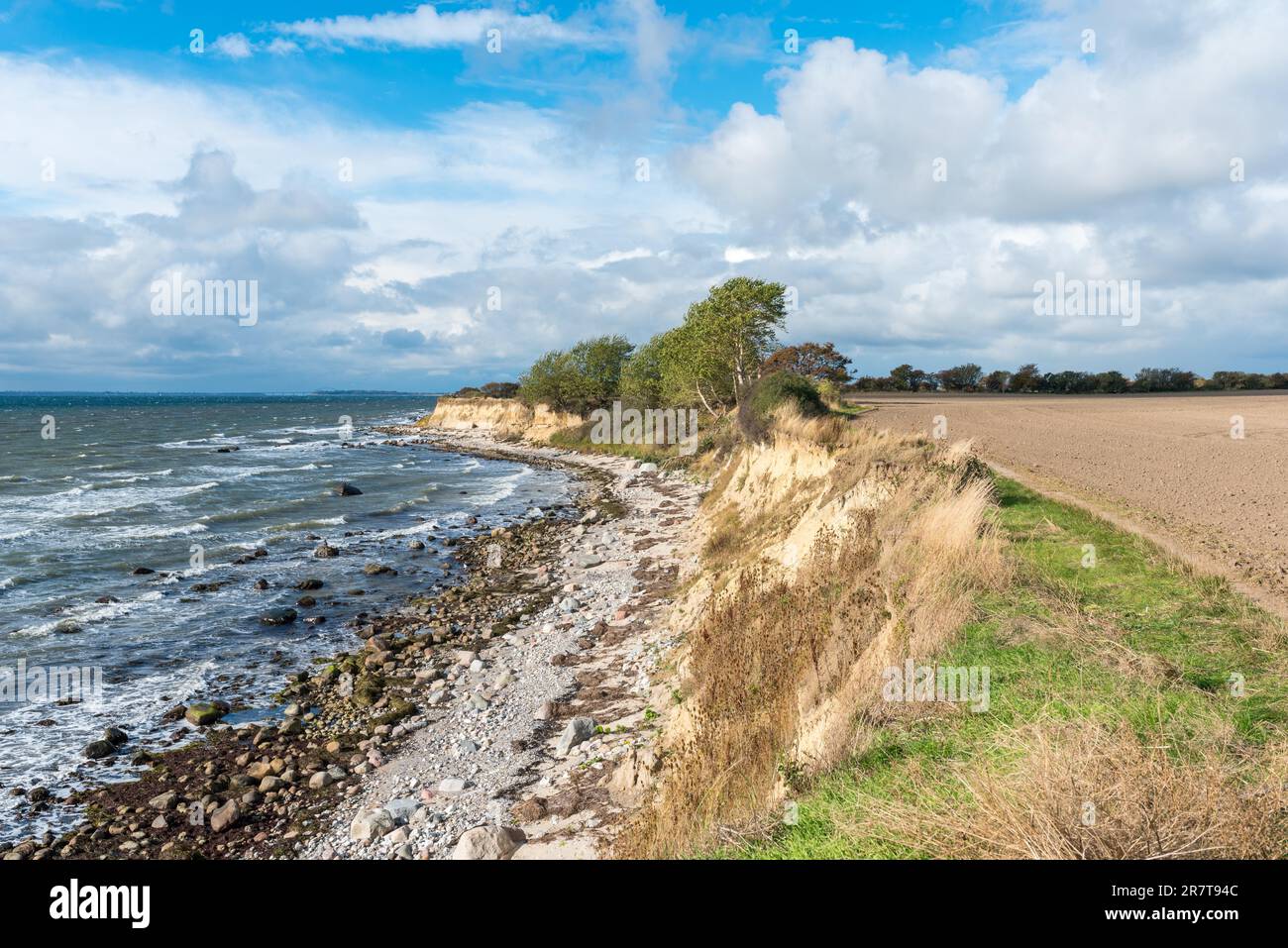 Hiking along the steep coast in the southeast towards the lighthouse on the Baltic Sea island of Fehmarn Stock Photo