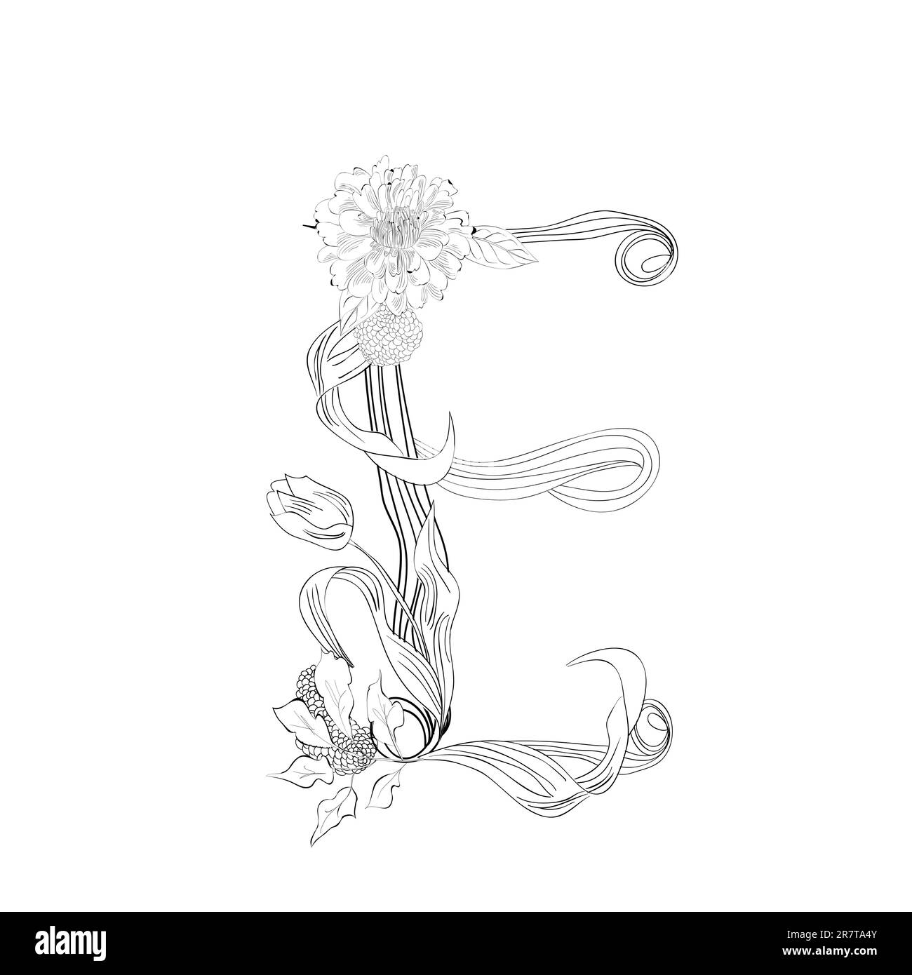 Vector Hand Drawn Floral Monogram Canvas Print / Canvas Art by